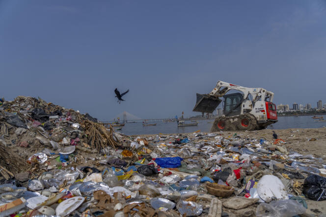 على شاطئ ماهيم على ساحل بحر العرب في مومباي بالهند في 22 أبريل 2024.
